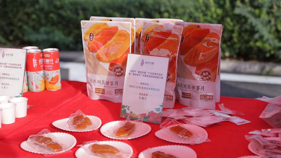 聚集產業要素 打造北方薯都!雄安這一活動舉辦